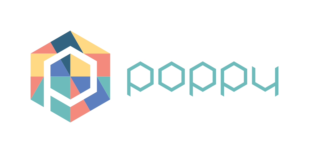 Program the robot · Documentation of the Poppy Platform