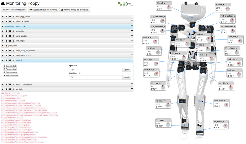 Program the robot · Documentation of the Poppy Platform